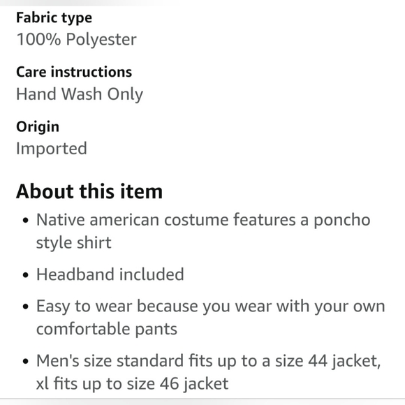 Forum Native America Vibe Costume - Picture 3 of 4